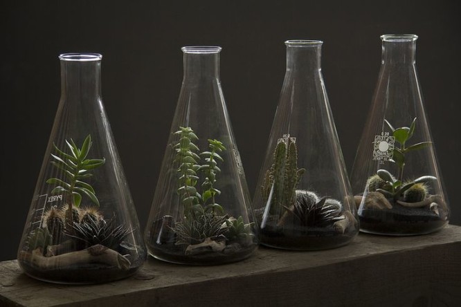 再利用實驗室玻璃